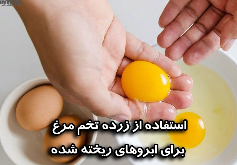 استفاده از زرده تخم مرغ برای ابروهای ریخته شده 