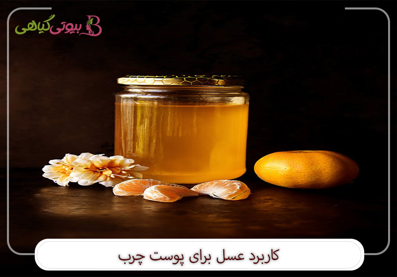 کاربرد عسل برای پوست چرب